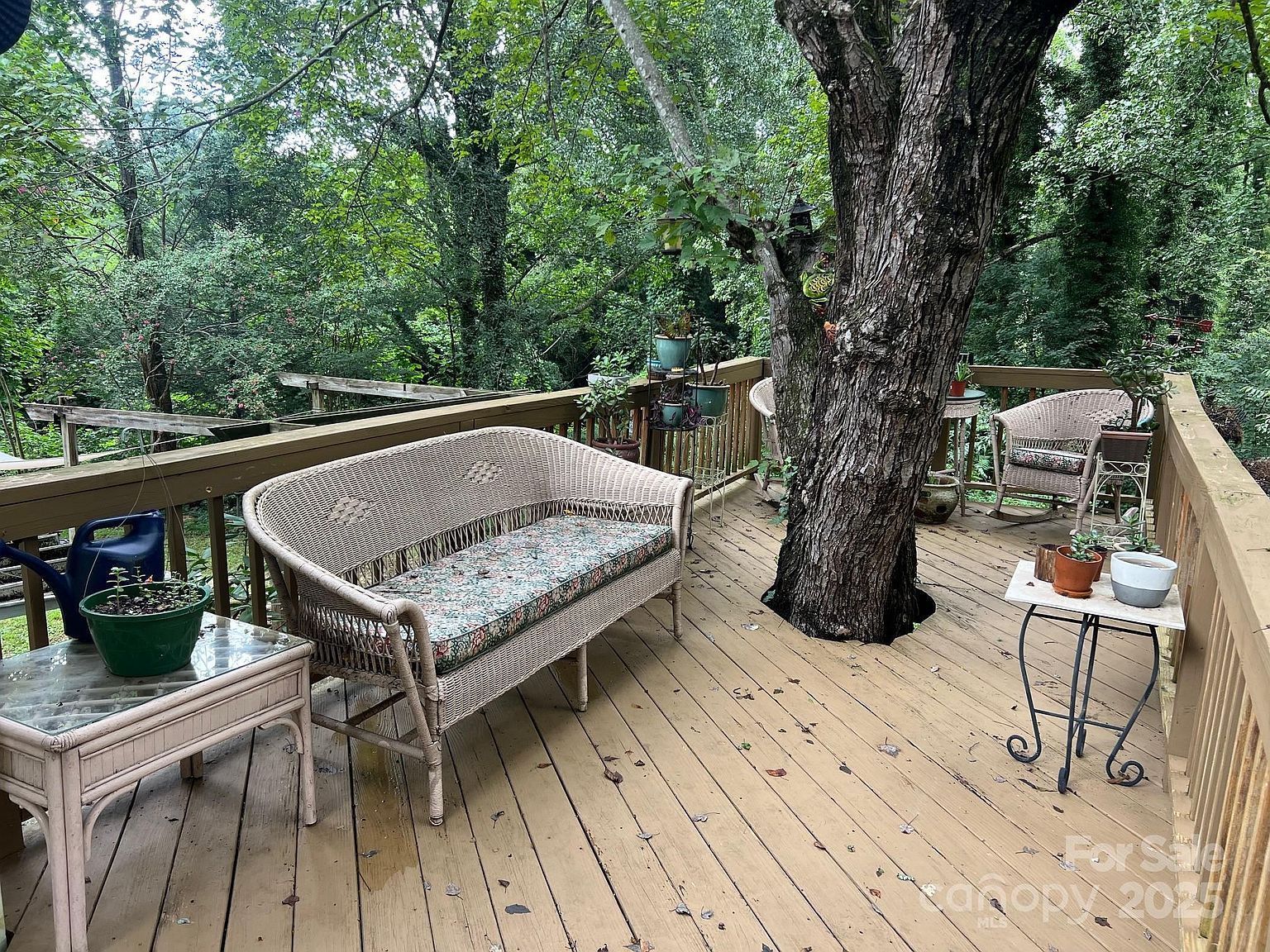 404 Patton St Morganton, NC 28655 - Thumbnail 5