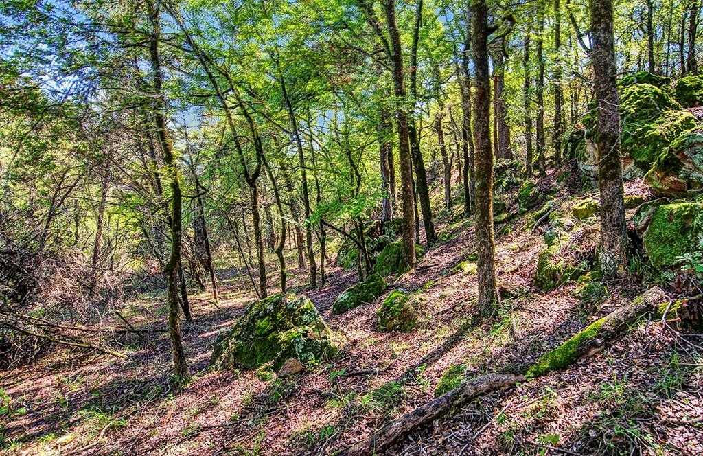 76 River Bend - Thumbnail 5