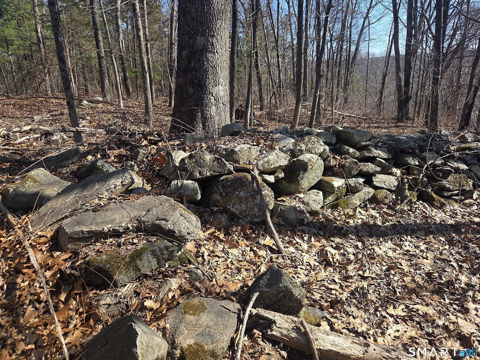 0 Green Hollow Rd Moosup, CT 06354 - Thumbnail 5