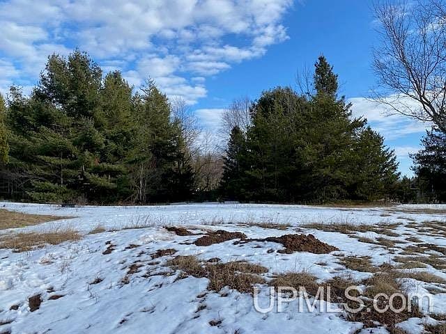 Us Highway 41 S Skandia, MI 49885 - Thumbnail 5