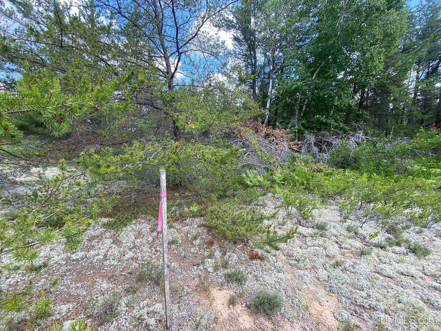 Charlotte Trl Marquette, MI 49855 - Thumbnail 5