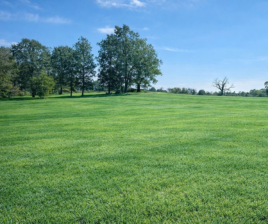 3089 Buck Xing #20 Springdale, AR 72762 - Thumbnail 5