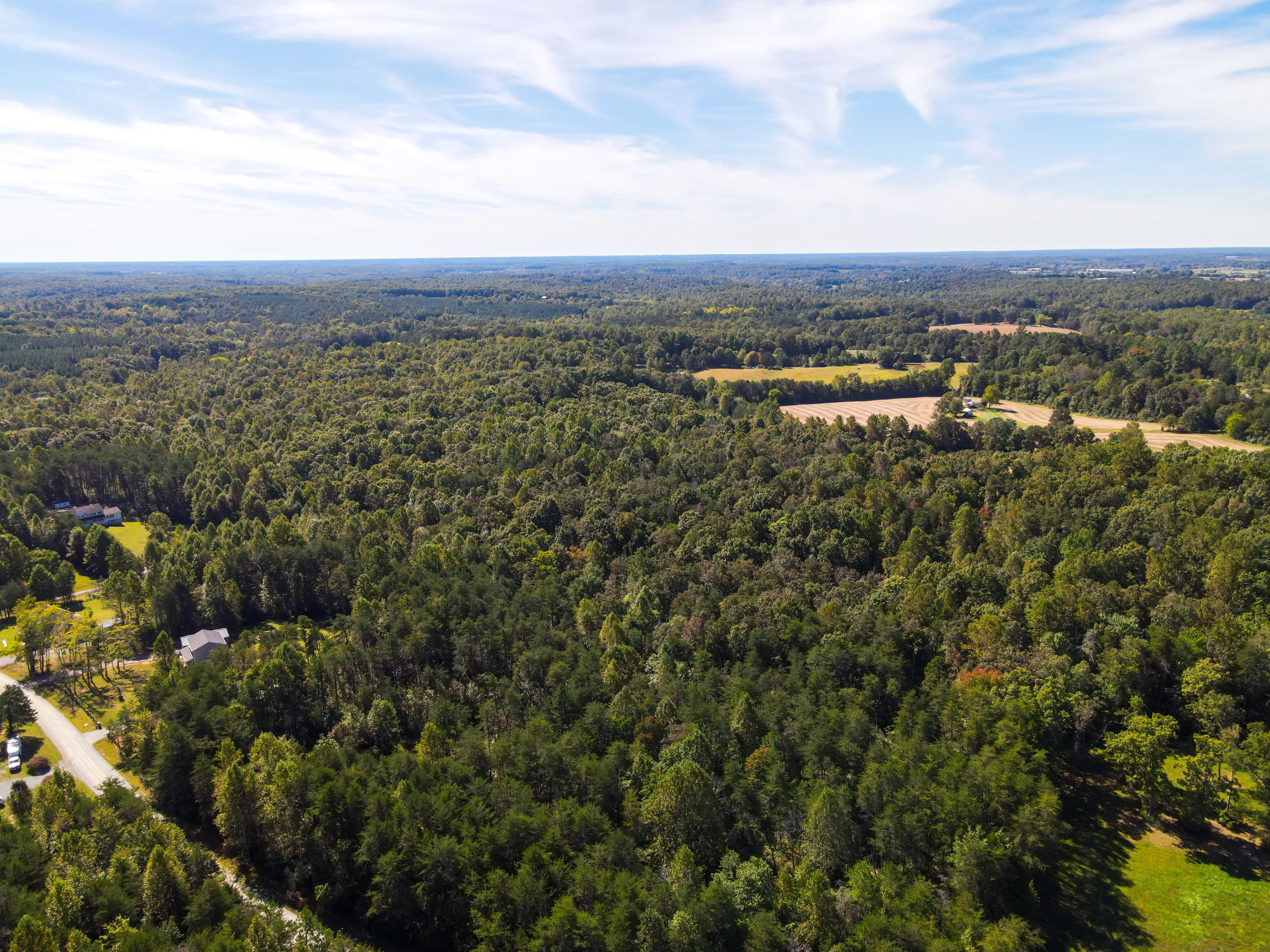 Old Mill Rd, Unionville, VA, USA, 22567 - Thumbnail 5