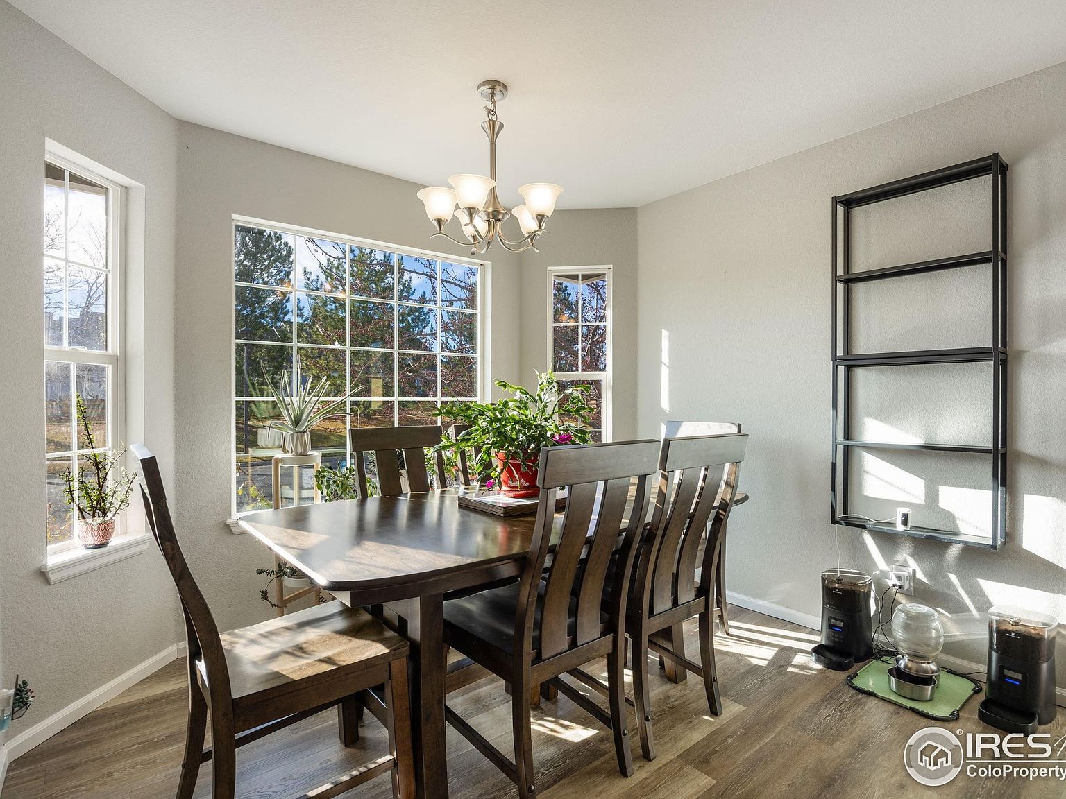 2717 Blackhawk Pl Loveland, CO 80538 - Thumbnail 5