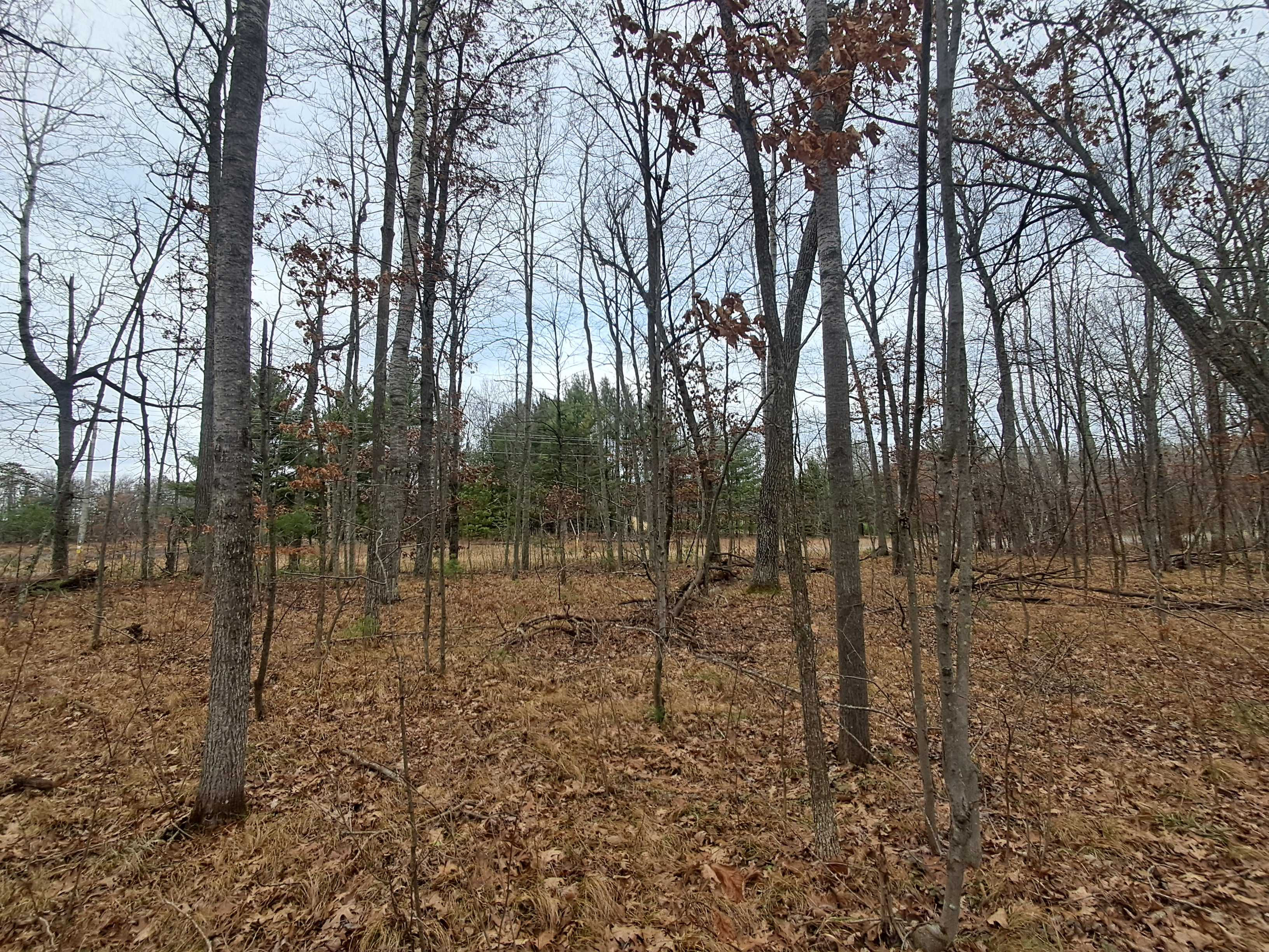 Lot 10 County Road A, Spooner, WI, 54801 - Thumbnail 5