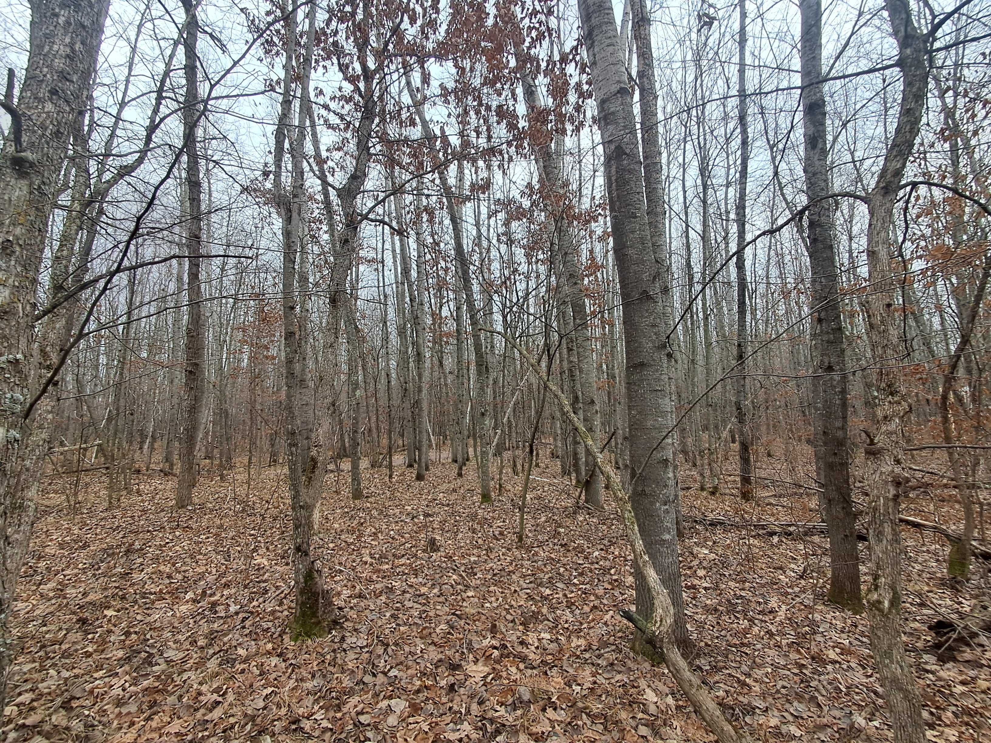 Lot 11 County Road A, Spooner, WI, 54801 - Thumbnail 5