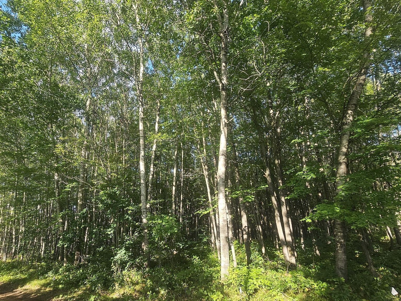 LOT 4 Ken Can Ln Webster, WI 54893 - Thumbnail 5