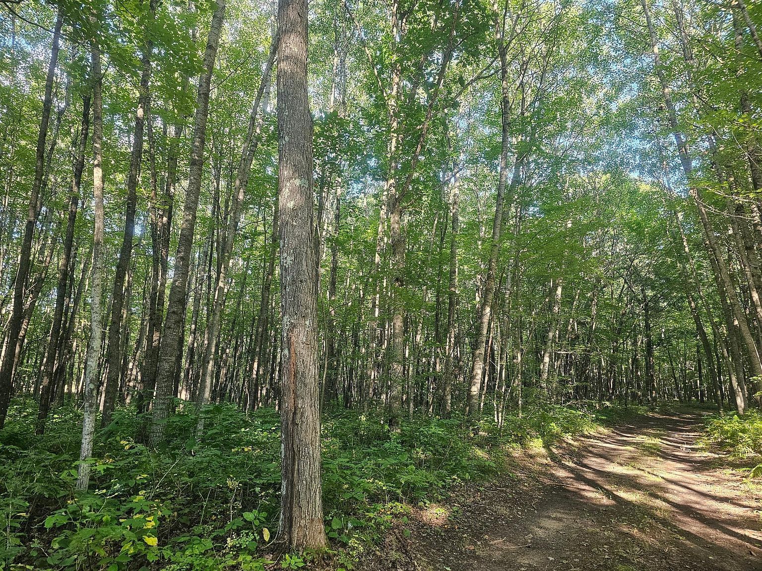 LOT 2 Ken Can Ln Webster, WI 54893 - Thumbnail 5