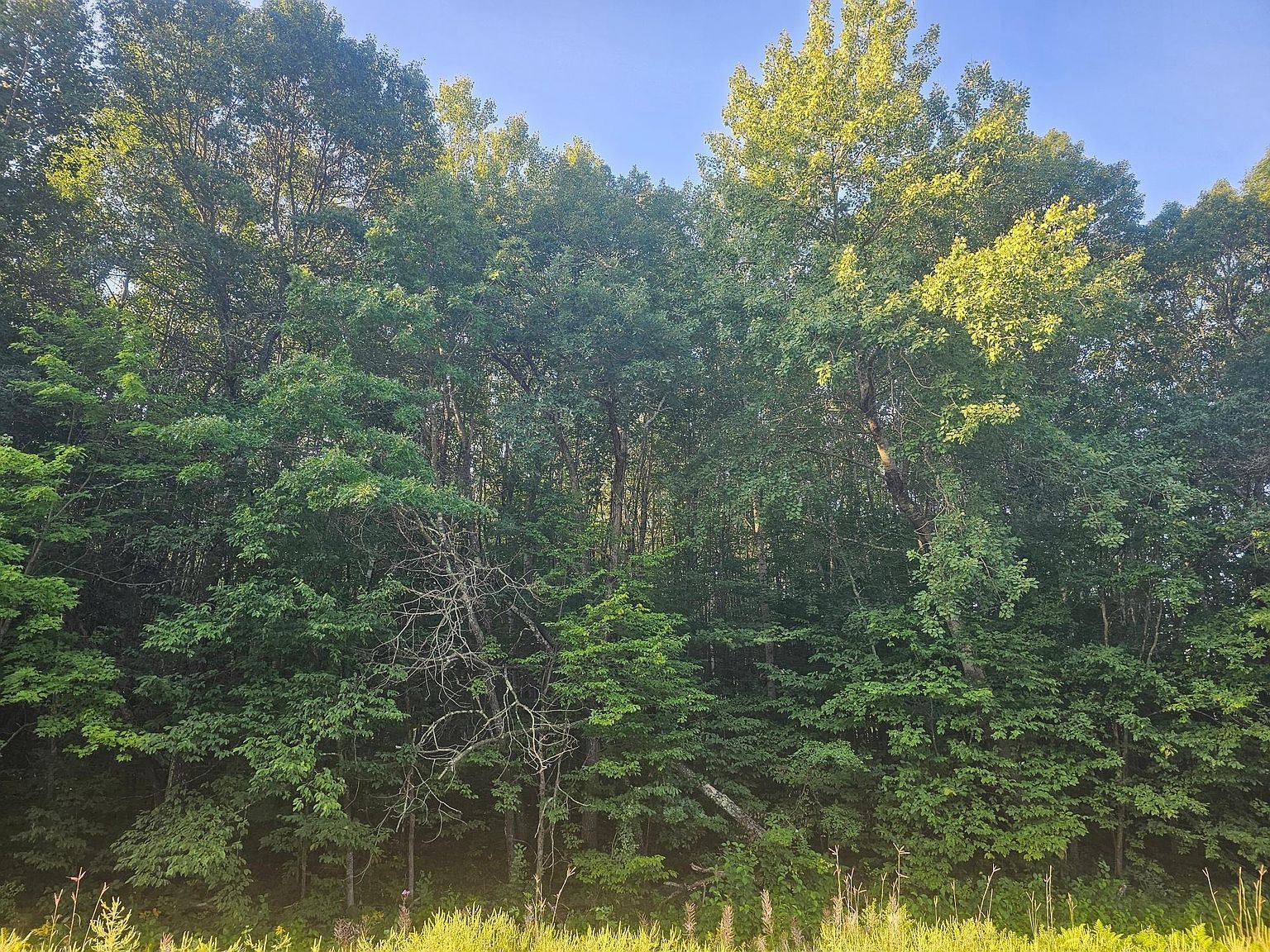 LOT 1 Ken Can Ln Webster, WI 54893 - Thumbnail 5