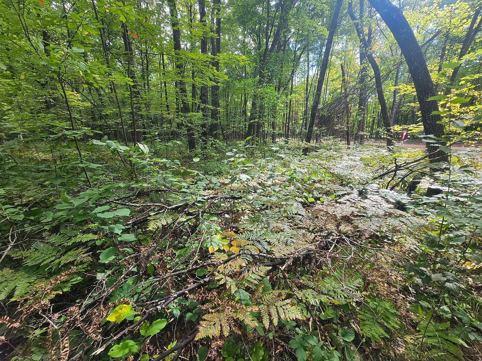 LOT 5 Ken Can Ln Webster, WI 54893 - Thumbnail 5
