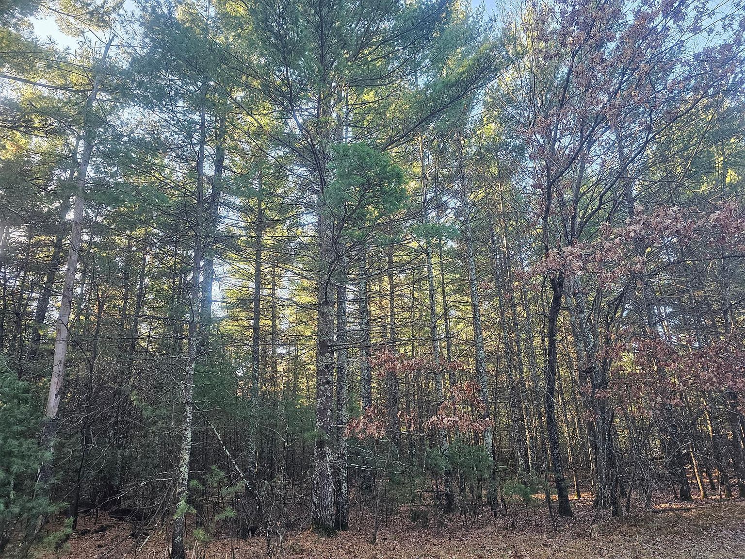 Harmon Ave E Grantsburg, WI 54840 - Thumbnail 5