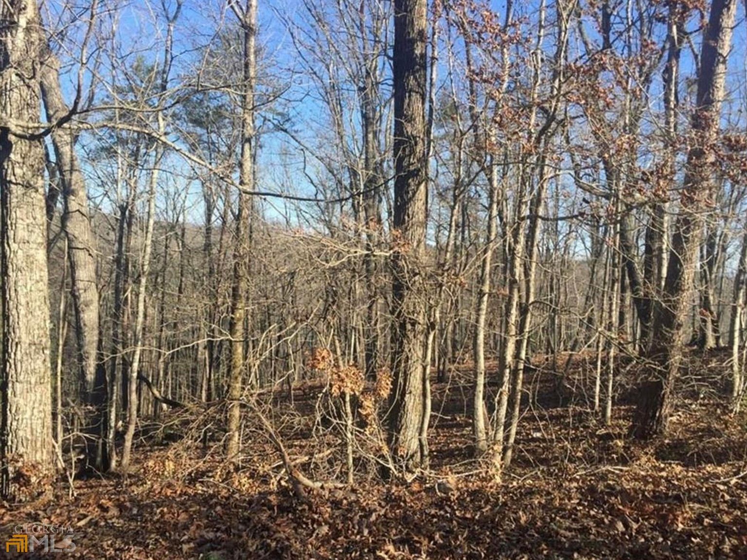 0 Gold Crest Dr Dahlonega, GA 30533 - Thumbnail 5