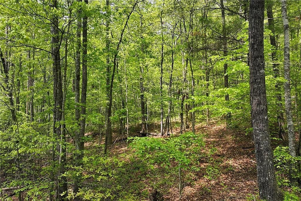 0 Lawrence Rd LOT 3 Dawsonville, GA 30534 - Thumbnail 5