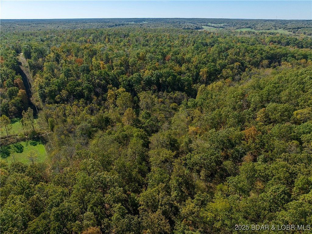 Flag Hollow Rd Montreal, MO 65591 - Thumbnail 5