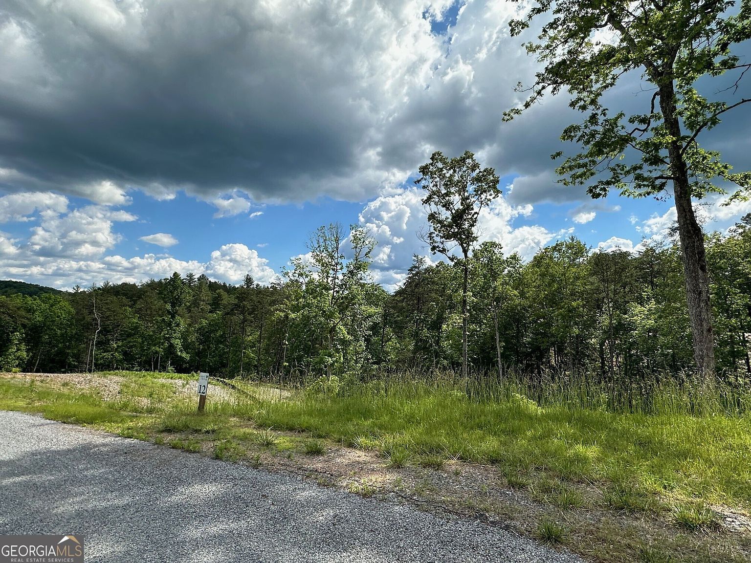 LOT 12 The Laurels Of Br Mineral Bluff, GA 30559 - Thumbnail 5