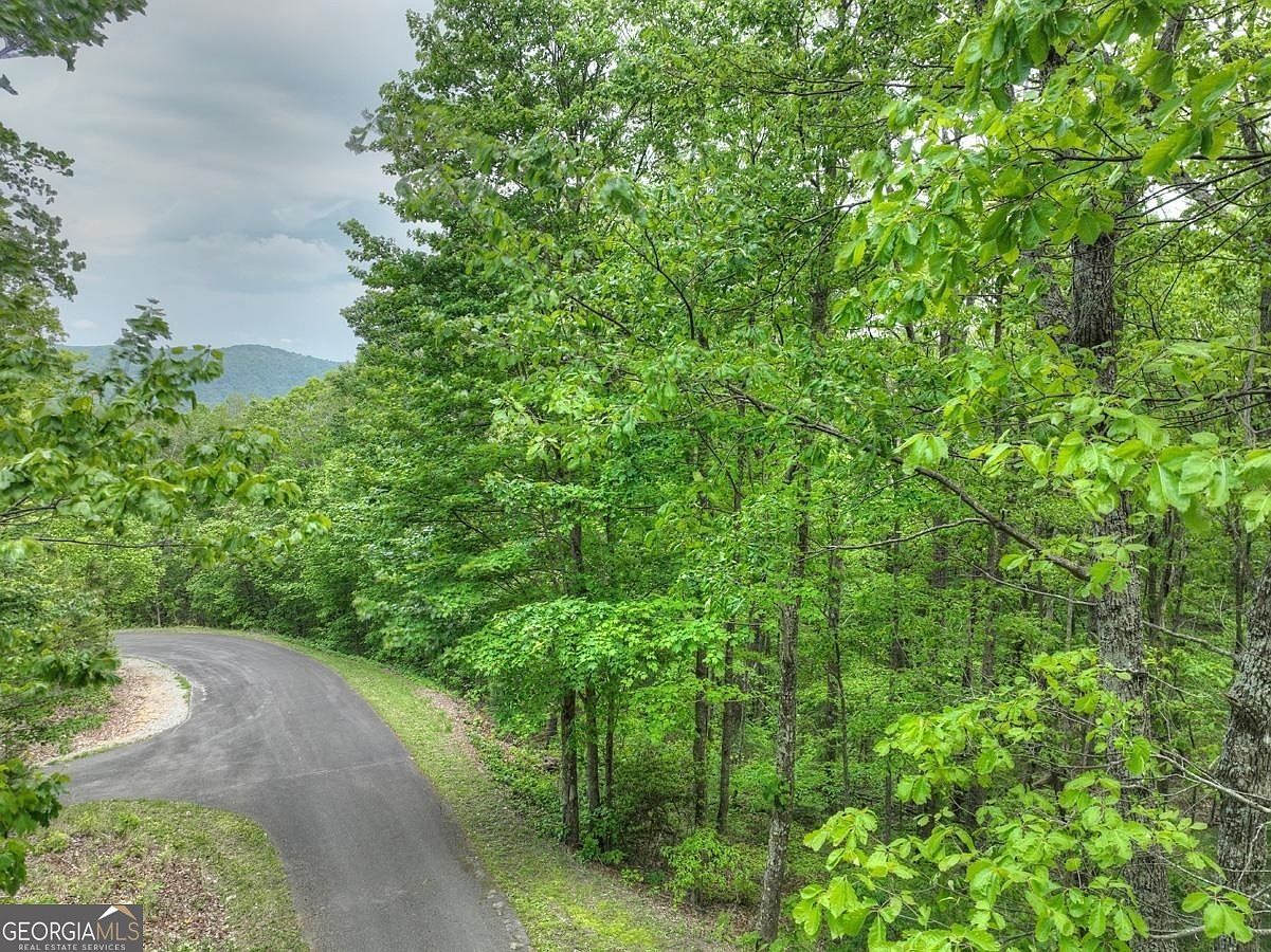 LOT 44 Autumn Fern Way Chatsworth, GA 30705 - Thumbnail 5