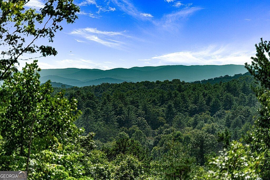 162 Fairy Cross Ln Mineral Bluff, GA 30559 - Thumbnail 5