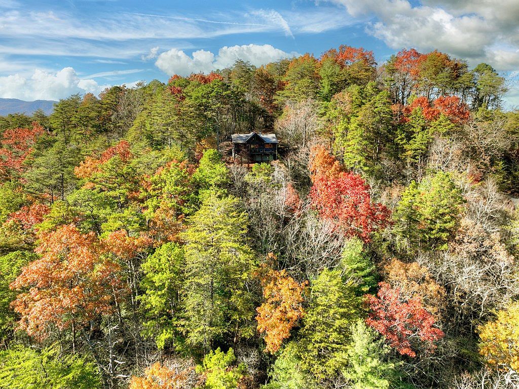 146 Rosiey Ln Blue Ridge, GA 30513 - Thumbnail 5