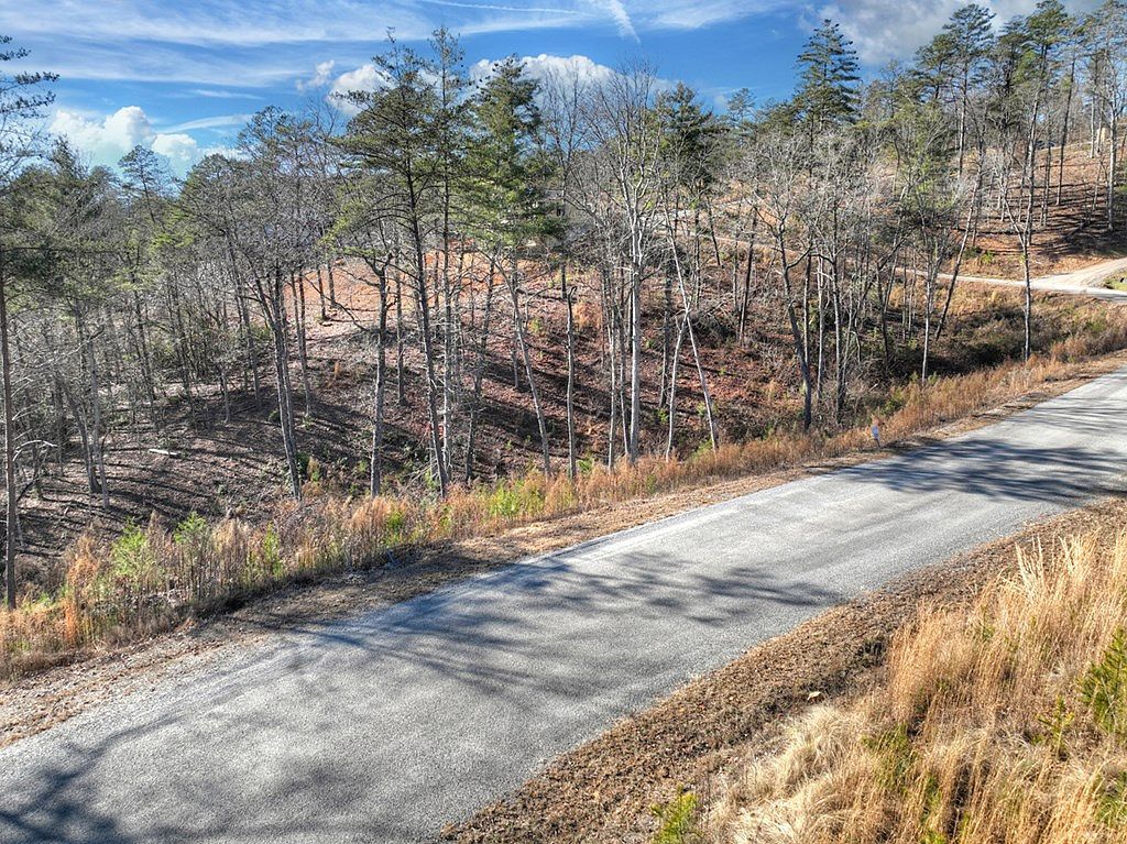 LOT 16 Mountain Laurel Dr Mineral Bluff, GA 30559 - Thumbnail 5