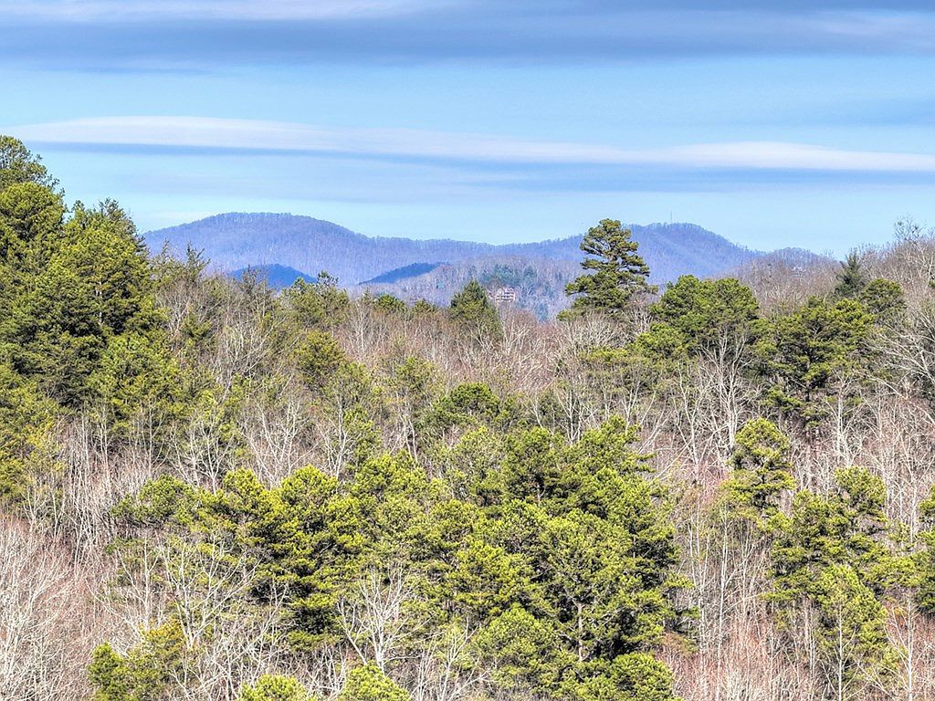 315 River Retreat Rd Blue Ridge, GA 30513 - Thumbnail 5