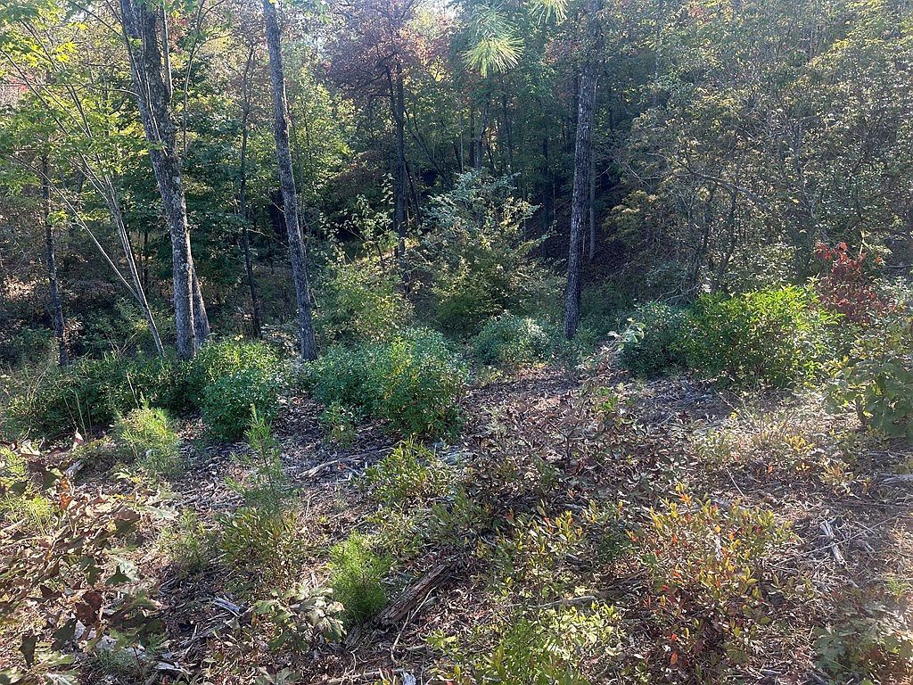LOT 44 Ridgeline Ln Mineral Bluff, GA 30559 - Thumbnail 5