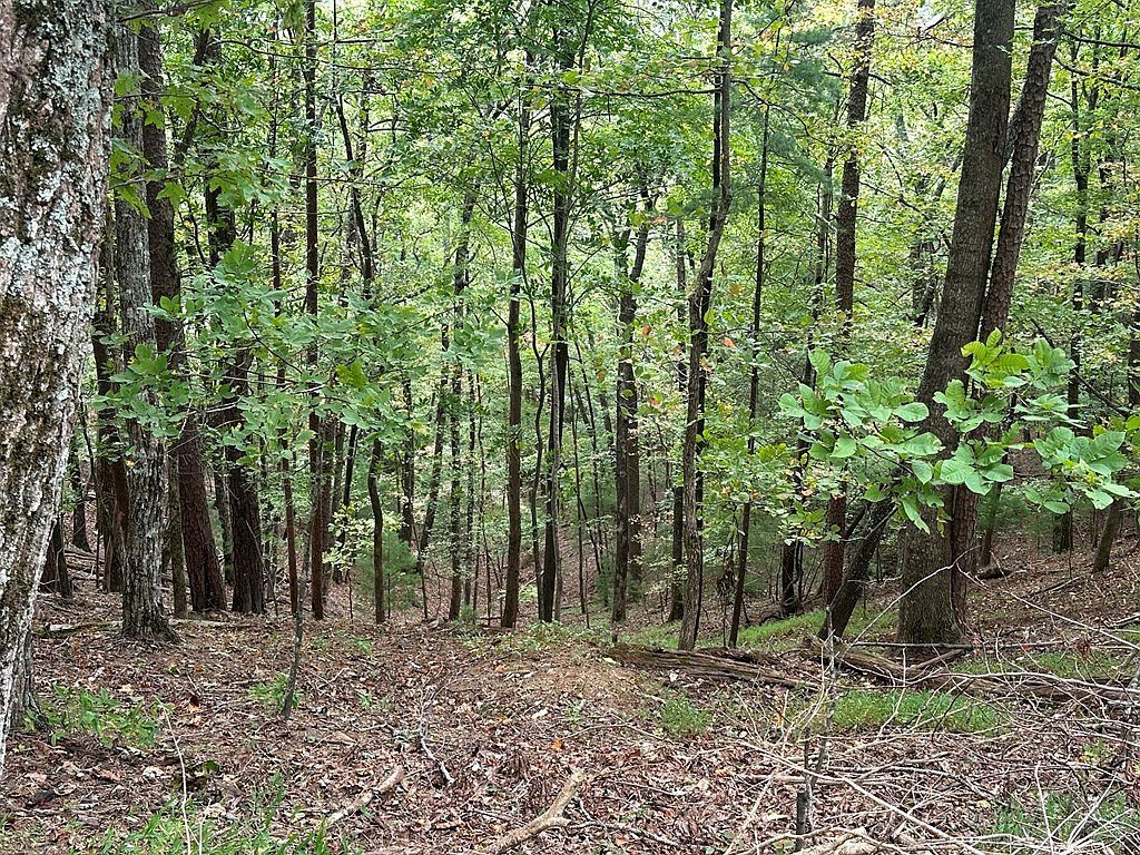 LOT A28 Laurel Ridge Dr Ellijay, GA 30536 - Thumbnail 5