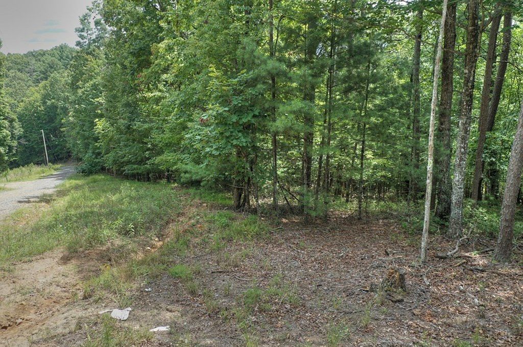 22 Mull Lane Cir Morganton, GA 30560 - Thumbnail 5