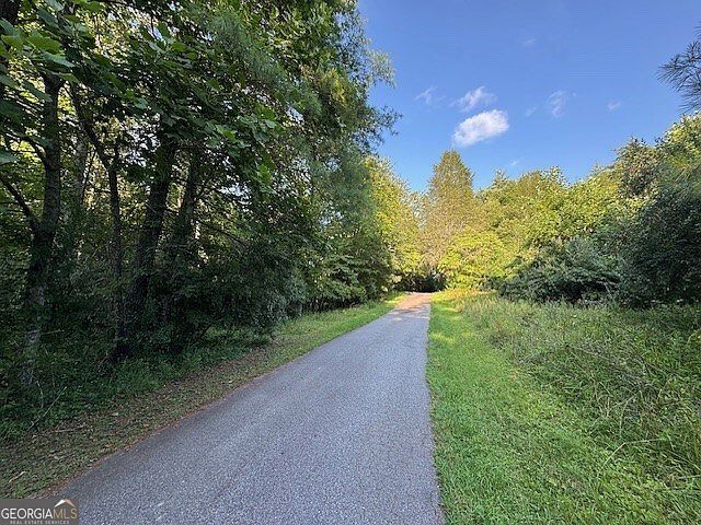 1 Newberry Dr Mineral Bluff, GA 30559 - Thumbnail 5