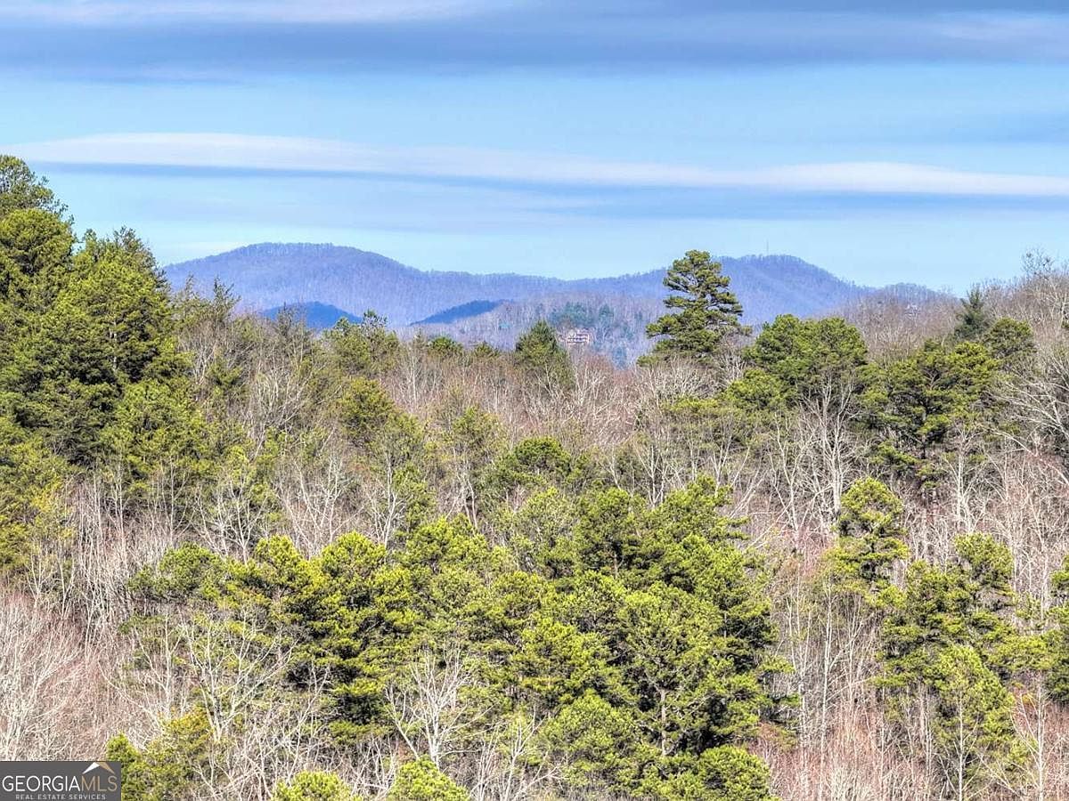 315 River Retreat Rd #9 Blue Ridge, GA 30513 - Thumbnail 5