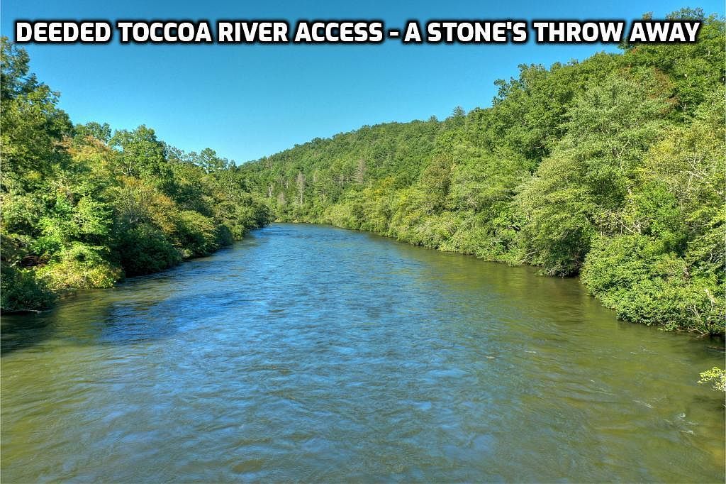 LOT 5 Riverbend Mnr Blue Ridge, GA 30513 - Thumbnail 5