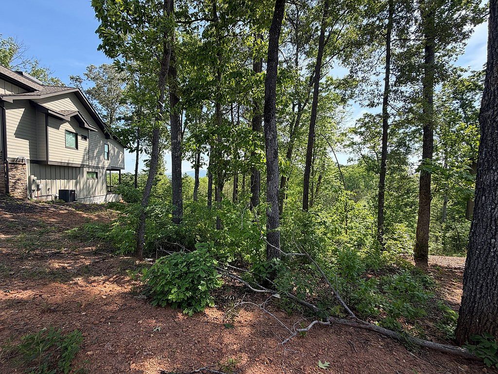 31 Summit View Dr Ellijay, GA 30540 - Thumbnail 5