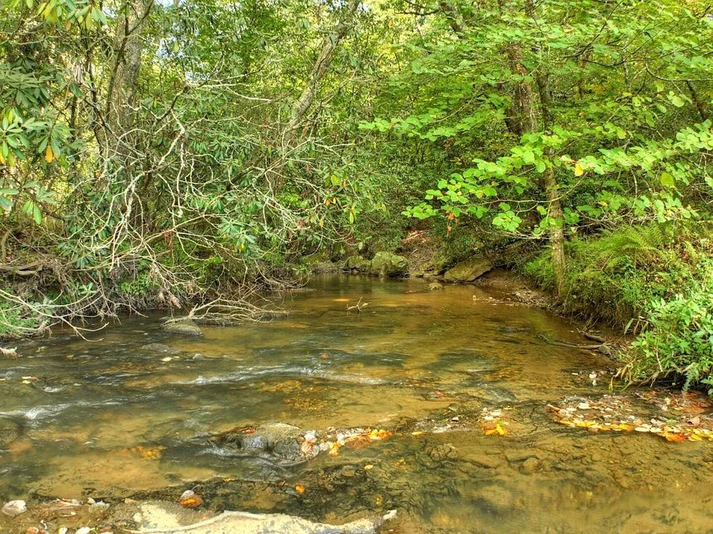 390 Twin Creeks Blue Ridge, GA 30513 - Thumbnail 5