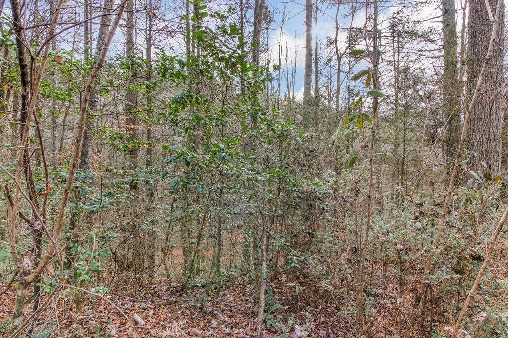 LOT 2 Laurel Overlook Rd Ellijay, GA 30540 - Thumbnail 5