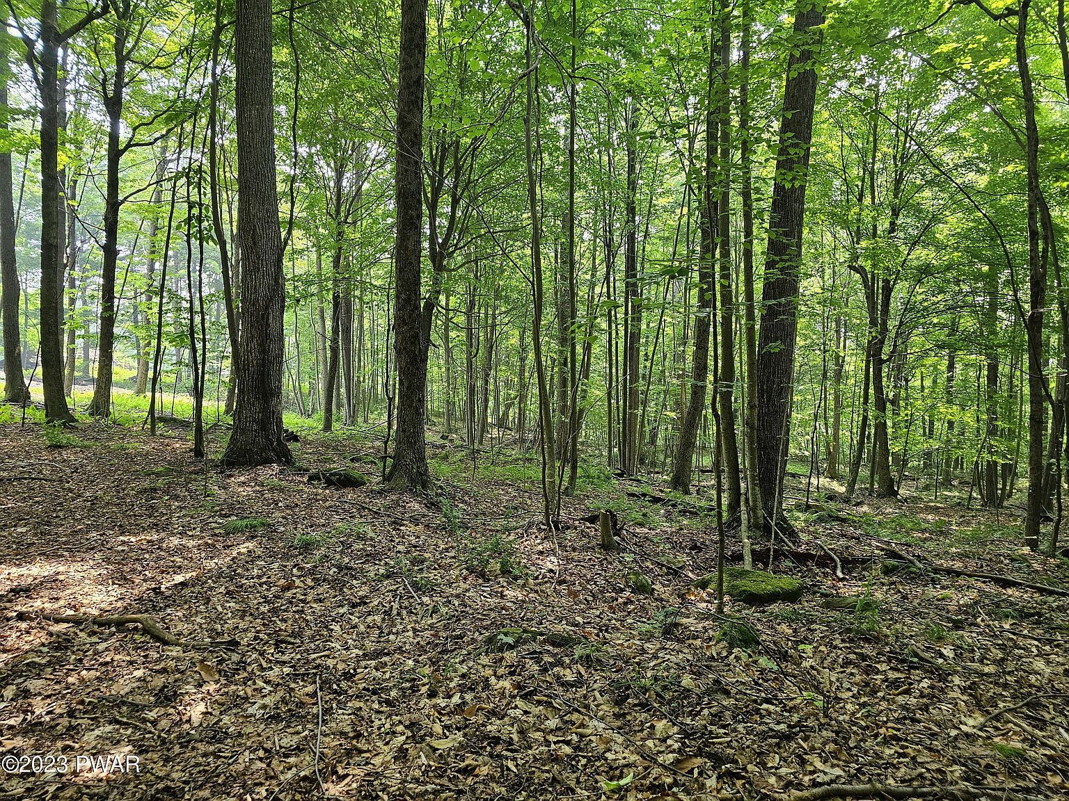 61 Rock Run Ln Equinunk, PA 18417 - Thumbnail 5