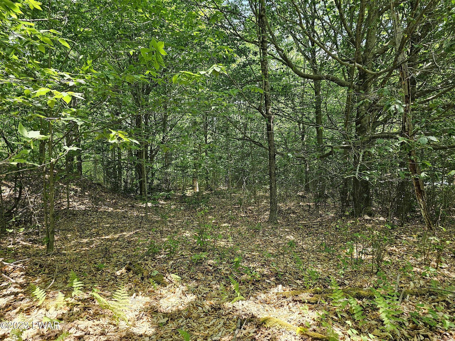 69 Stonegate Rd Equinunk, PA 18417 - Thumbnail 5