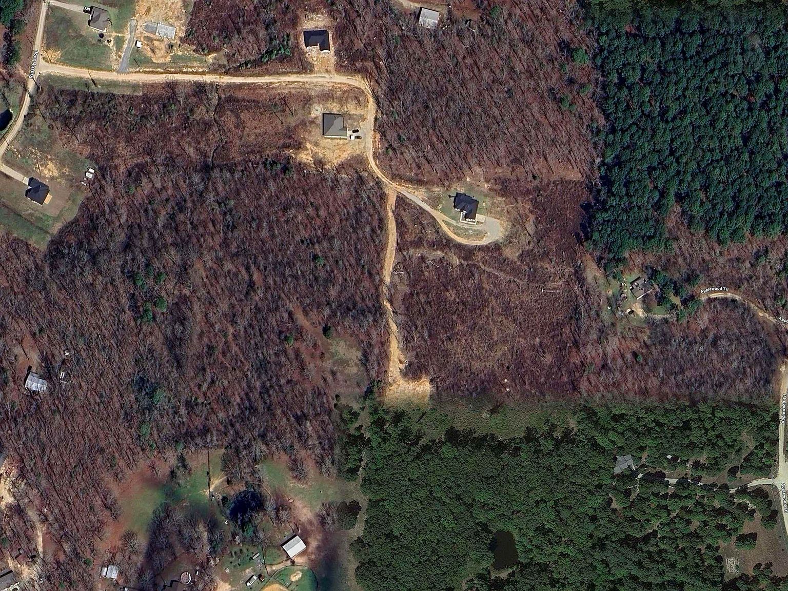 TRACT 8B Rigsby Loop Lonsdale, AR 72087 - Thumbnail 5