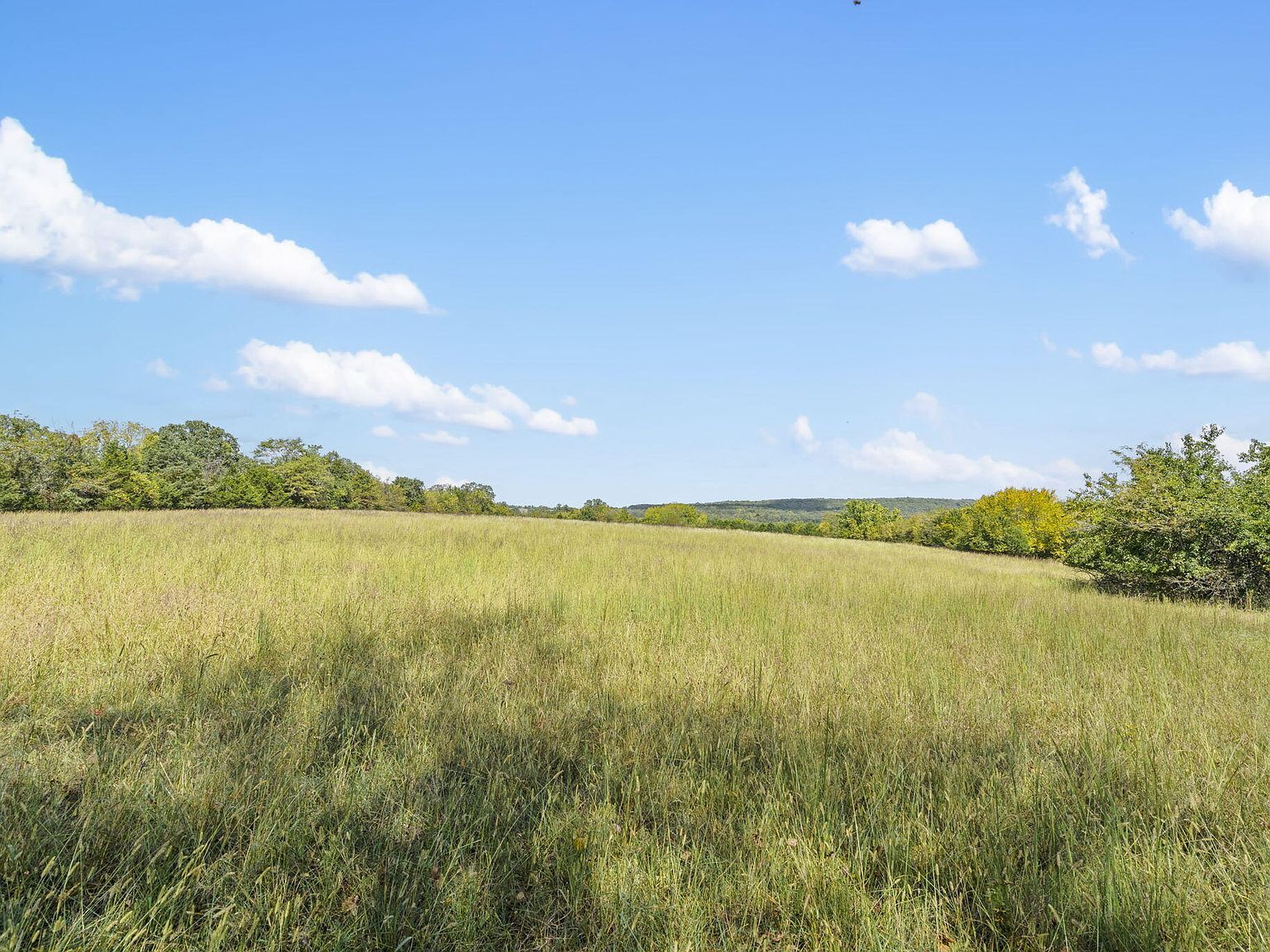 543-1 Wild Rose Loop #A Strafford, MO 65757 - Thumbnail 5