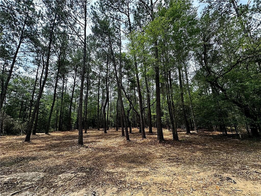 1 Ranchero Rd Covington, LA 70435 - Thumbnail 5