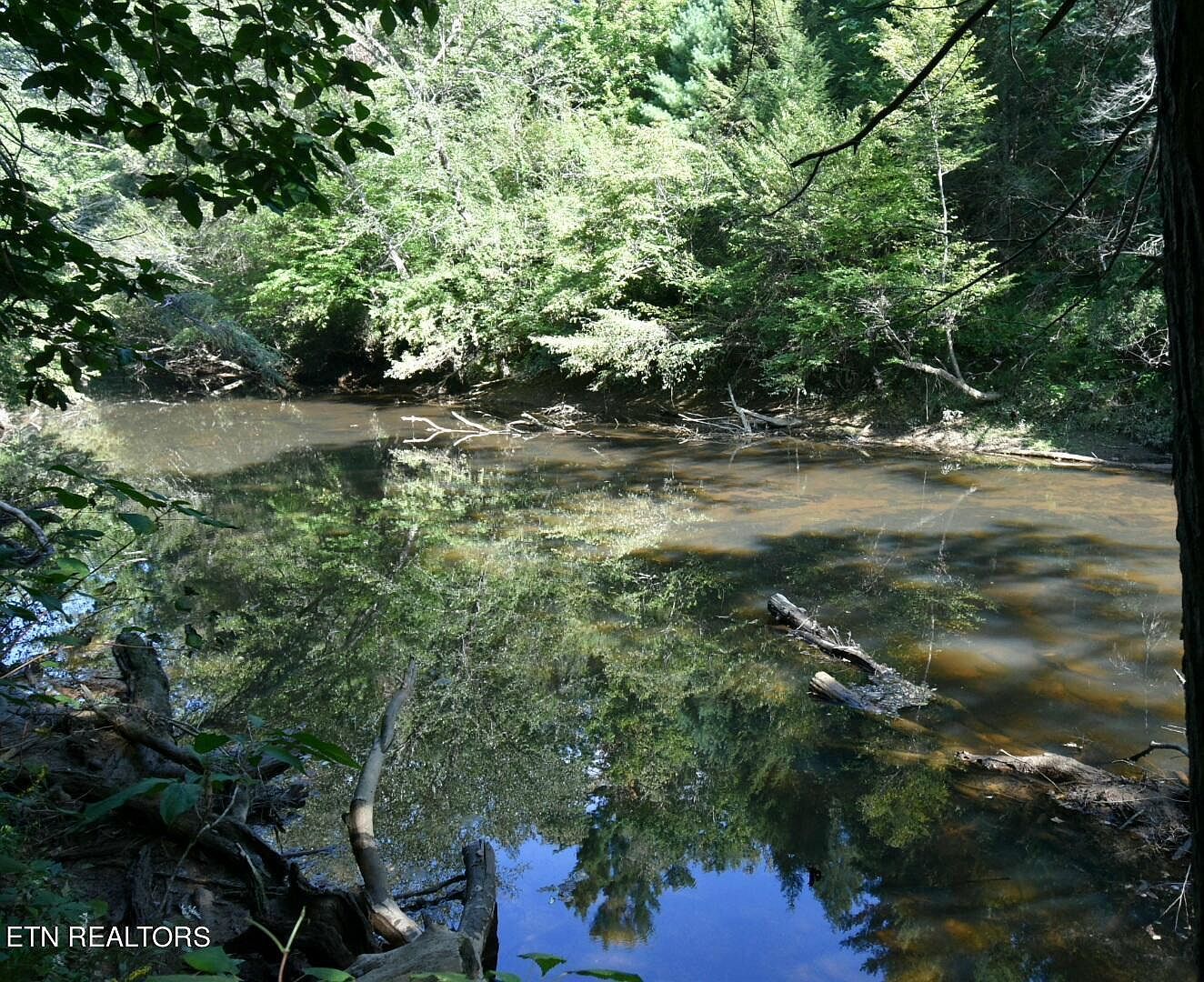 River Bend Dr Robbins, TN 37852 - Thumbnail 5