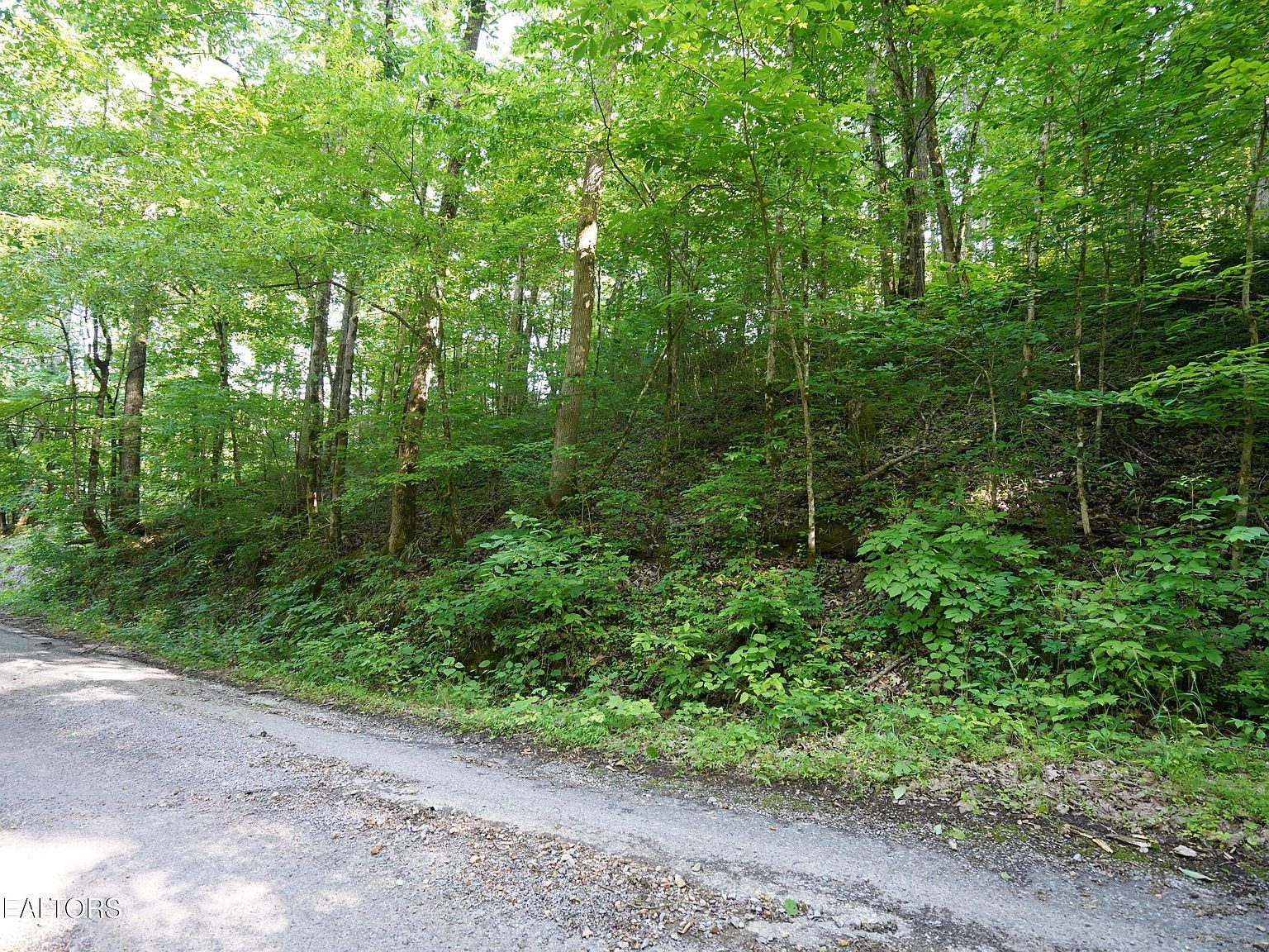 Holiday Haven Rd, Smithville, TN, 37166 - Thumbnail 5