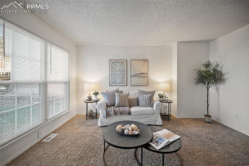 3534 Queen Anne Way Colorado Springs, CO 80917 - Thumbnail 5