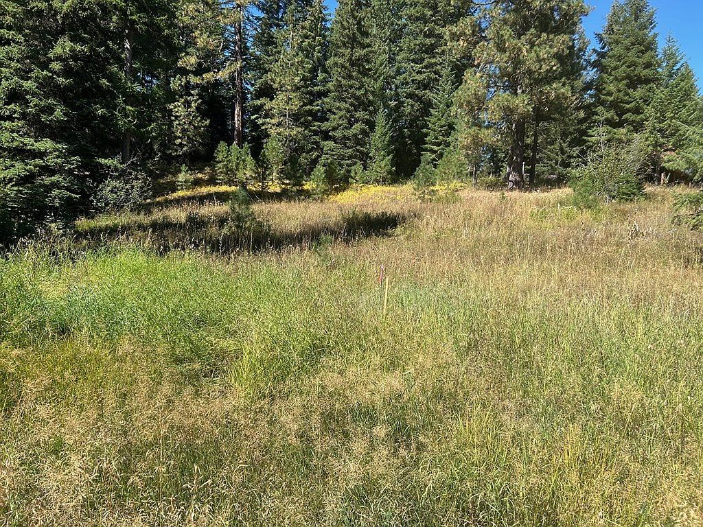 20 Andy Ln Donnelly, ID 83615 - Thumbnail 5