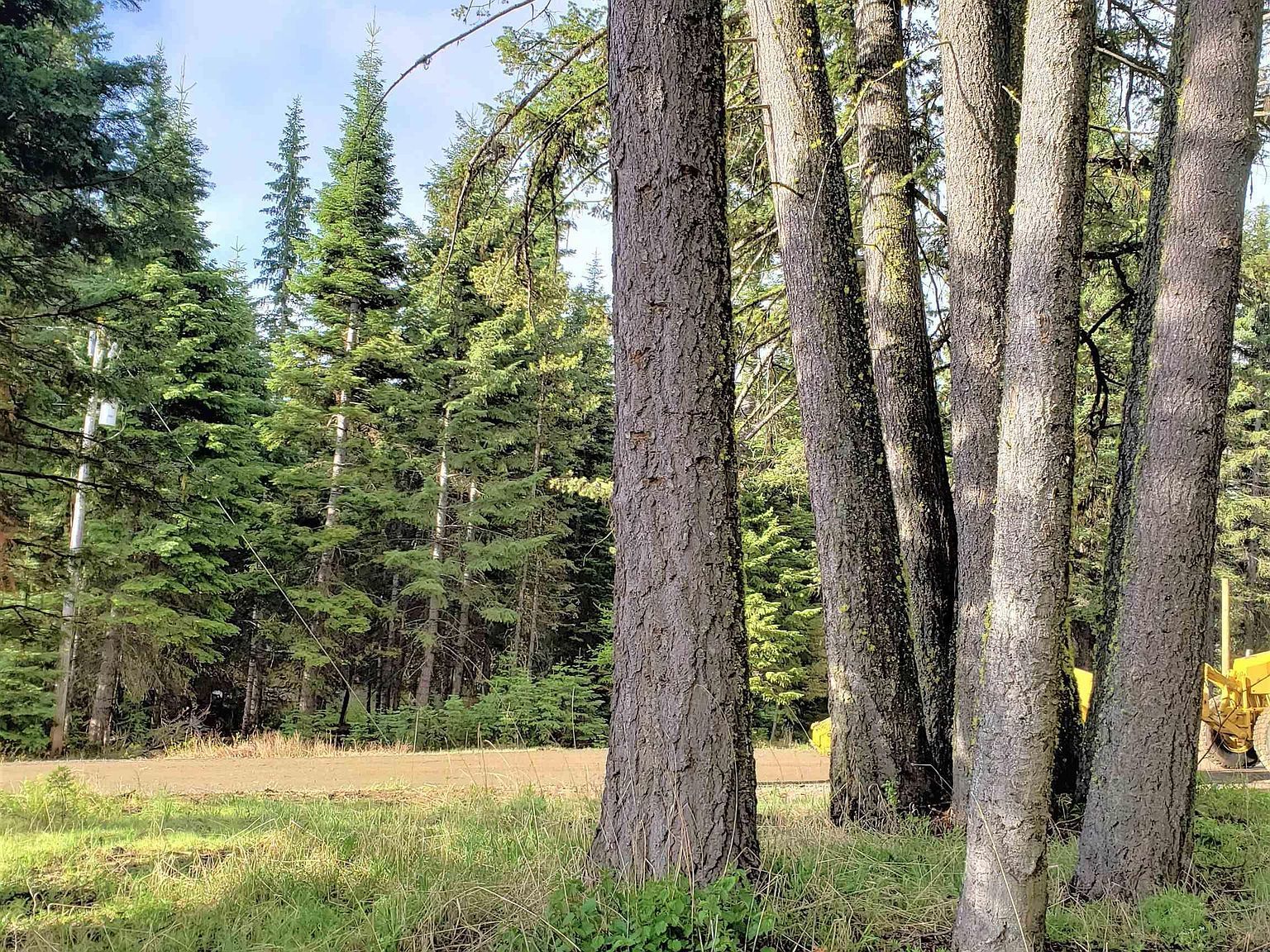 15 Andy Ln Donnelly, ID 83615 - Thumbnail 5