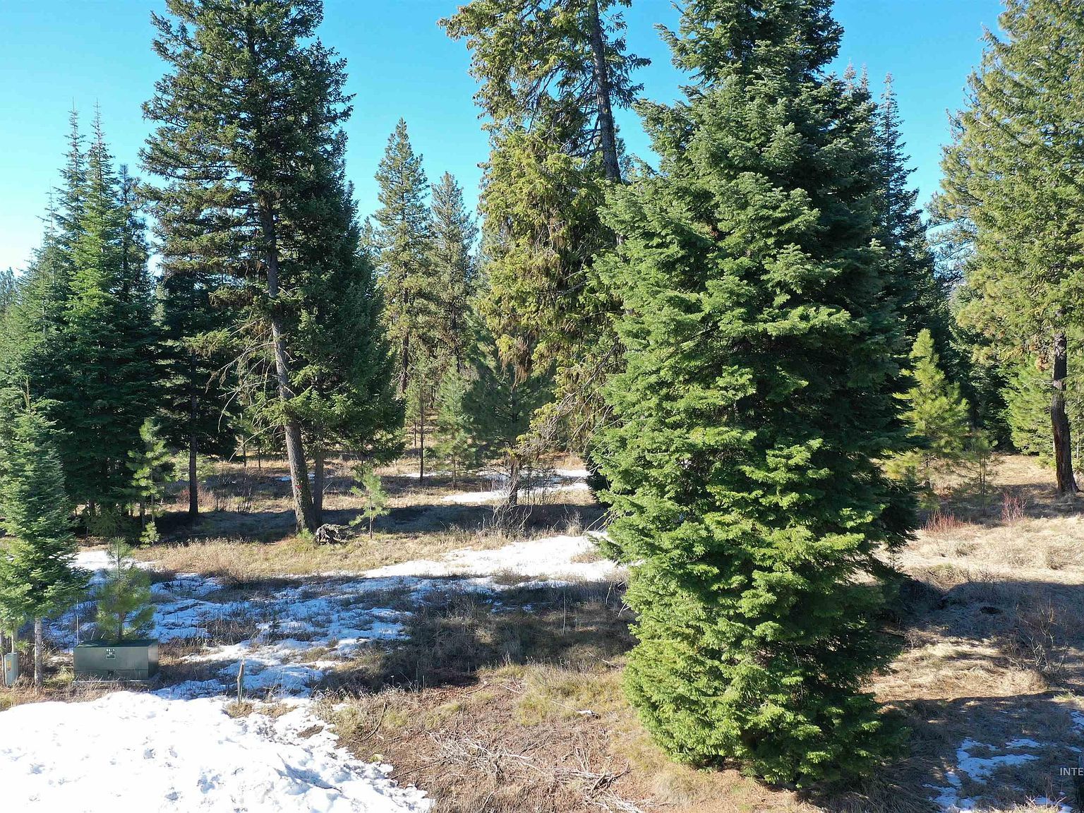 23 Moon Beam Cir McCall, ID 83638 - Thumbnail 5