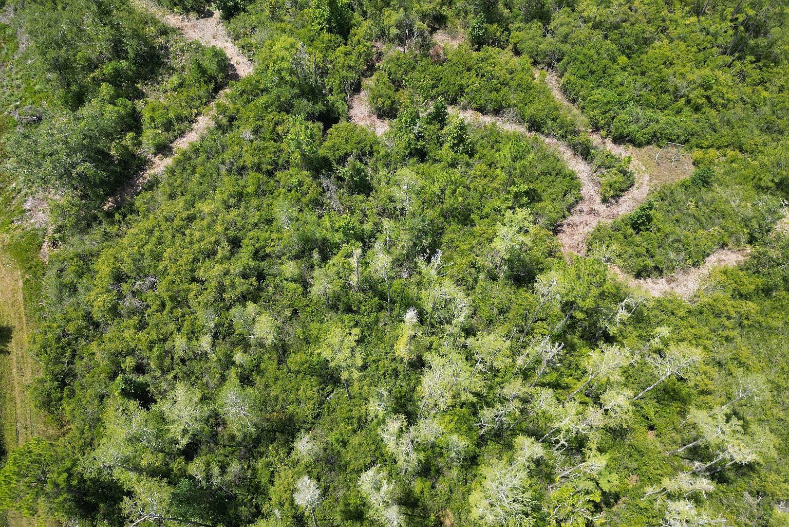 Florida Power Esmnt, Perry, FL, 32348 - Thumbnail 5