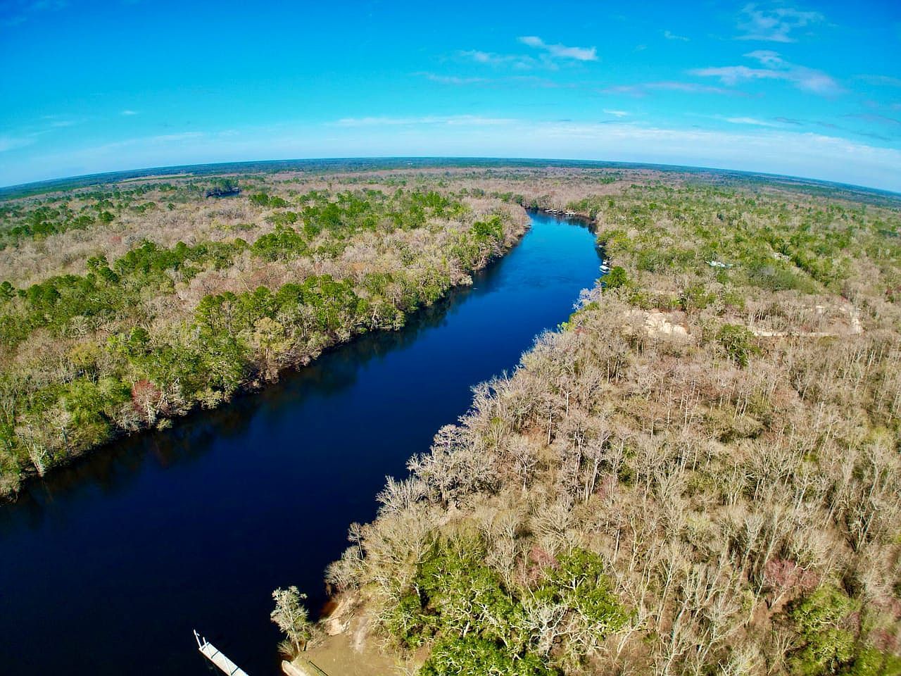 (undisclosed Address) Bell, FL 32619 - Thumbnail 5