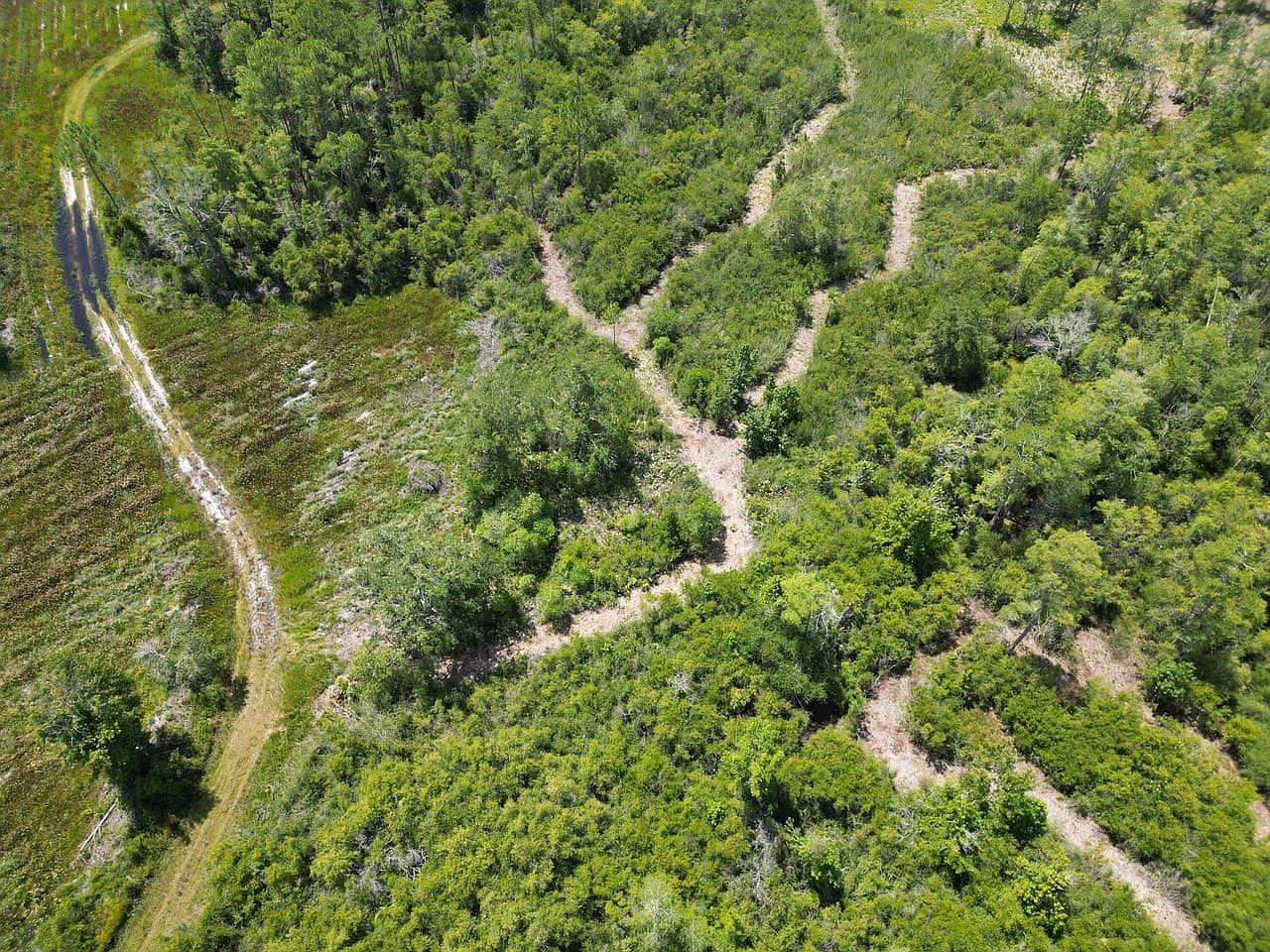 (undisclosed Address) Perry, FL 32347 - Thumbnail 5