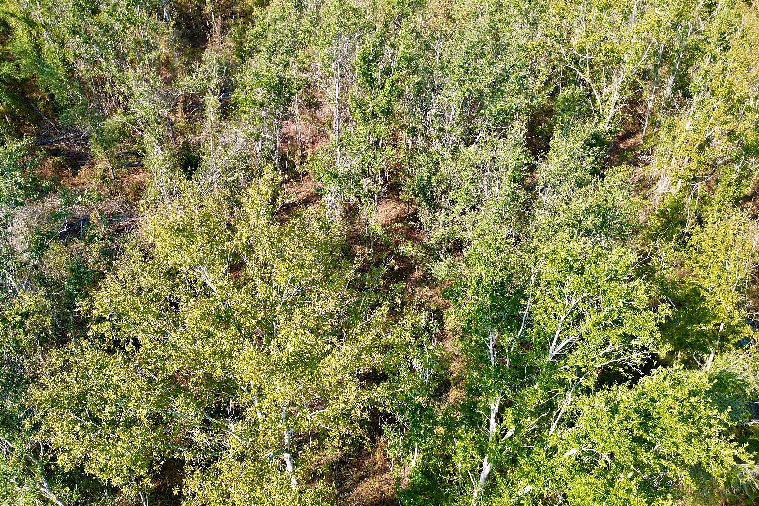 SE Kachina Ave Lee, FL 32059 - Thumbnail 5