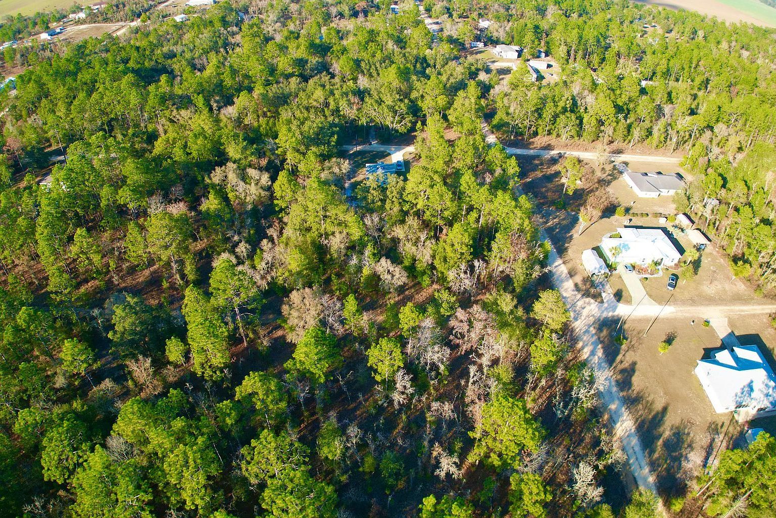 NE 16th Ln Williston, FL 32696 - Thumbnail 5