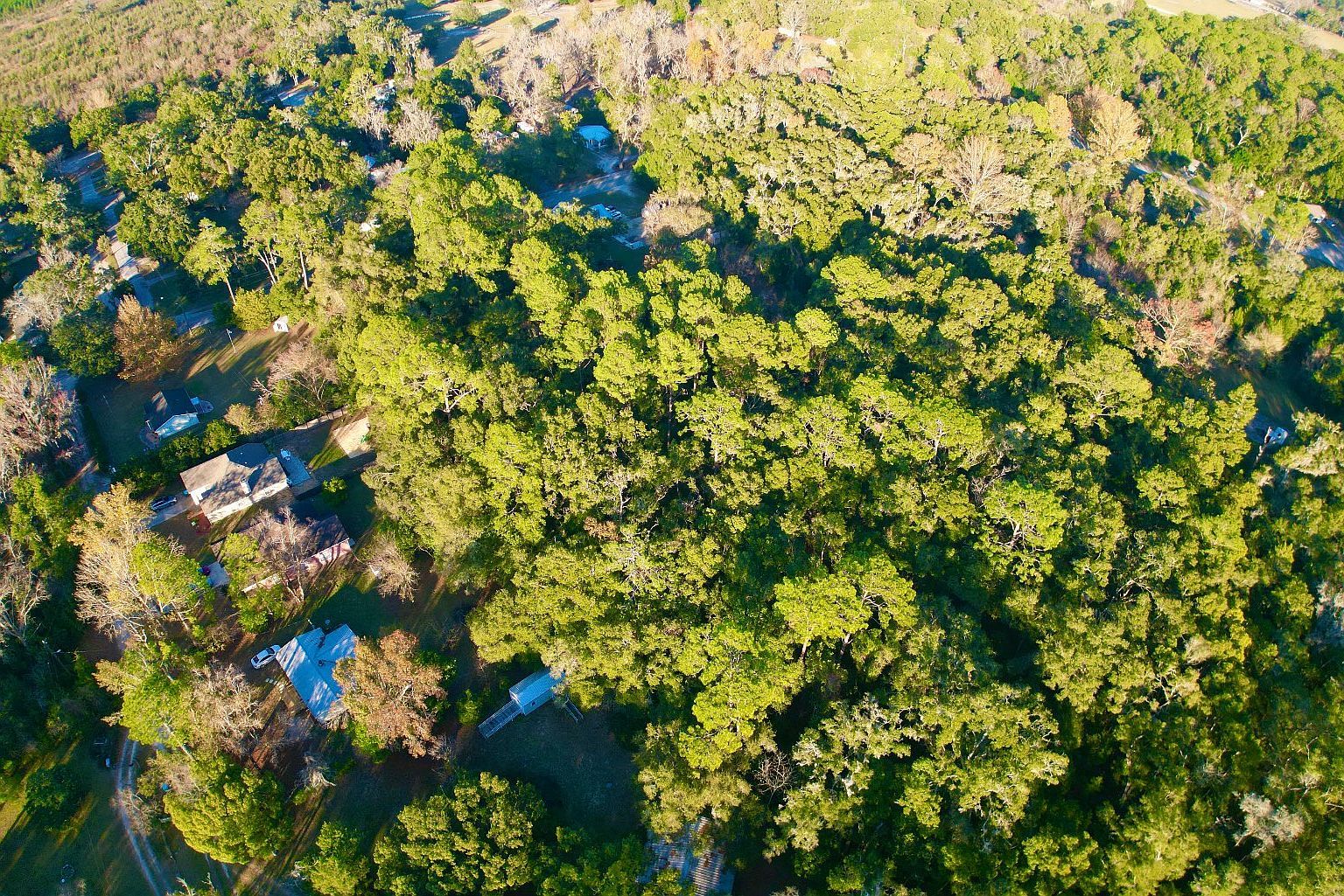 SW County Road 346 Archer, FL 32618 - Thumbnail 5